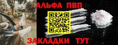 сатива Кингисепп
