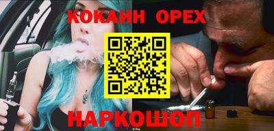 сатива Кингисепп