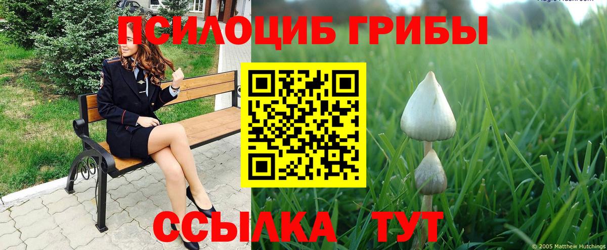 Галлюциногенные грибы Cubensis  Вход с VPN  наркота  Красноармейск 