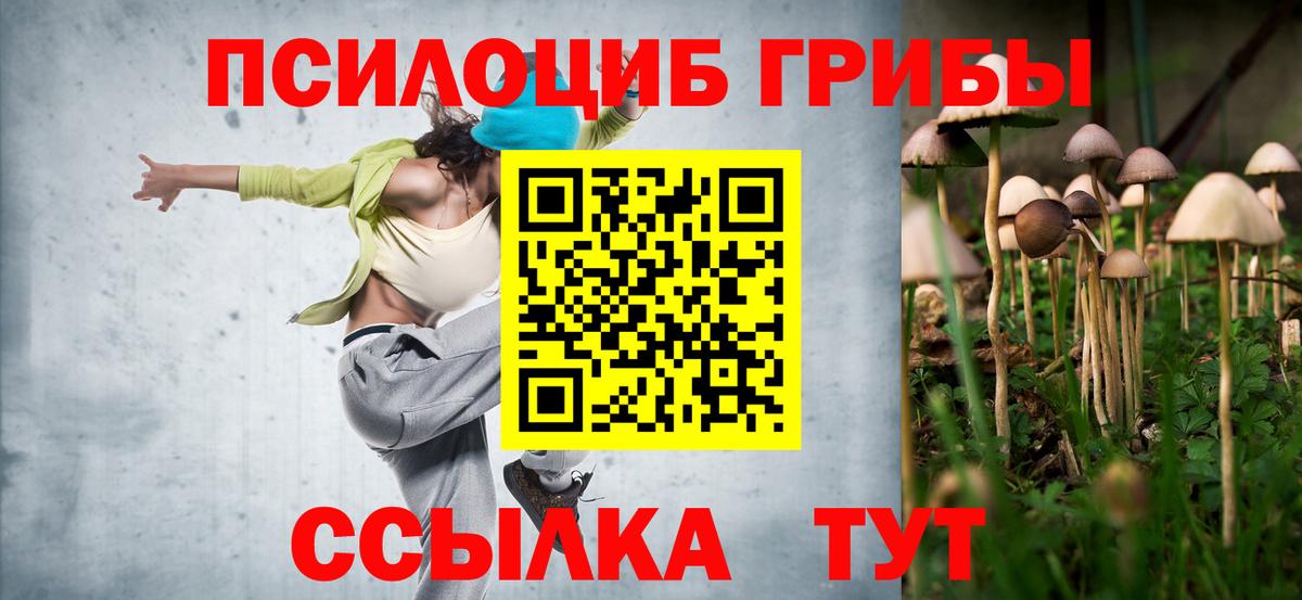 Галлюциногенные грибы мицелий Красноармейск